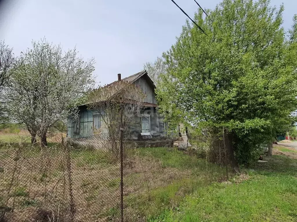 Дом в Еврейская автономная область, Смидовичский район, с. имени ... - Фото 0