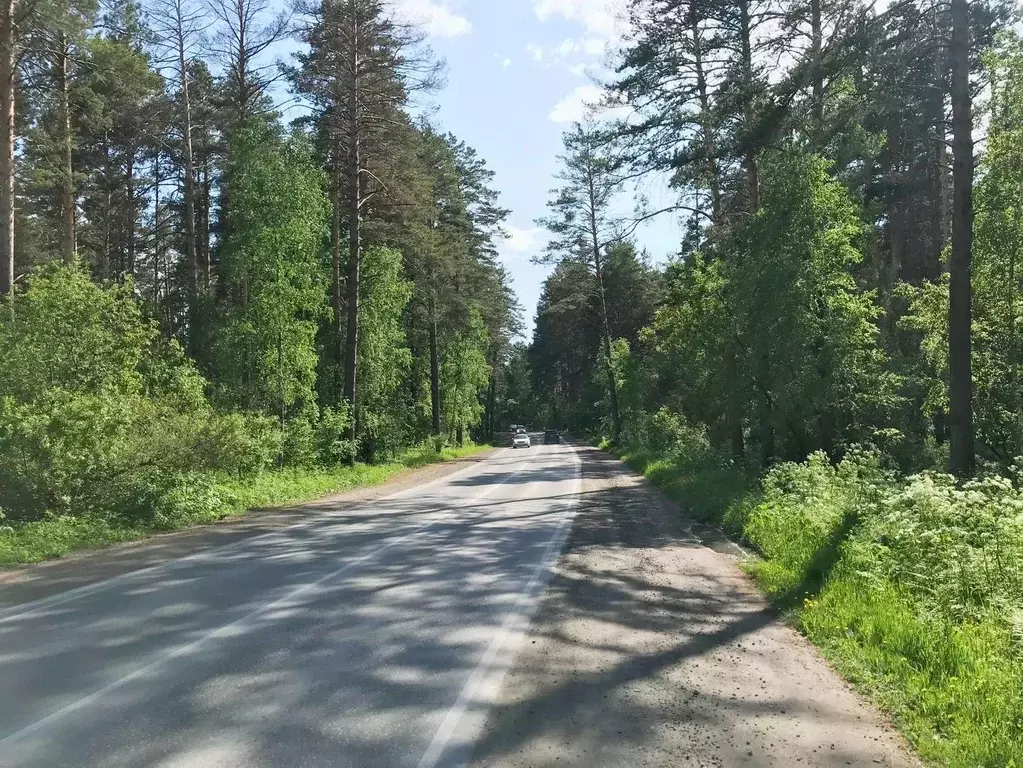 Участок в Новосибирская область, Новосибирский район, Барышевский ... - Фото 1