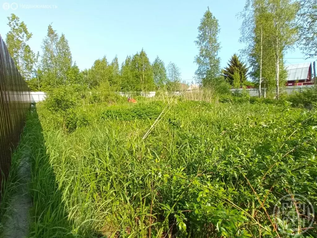 Участок в Сертолово, микрорайон Чёрная Речка (12 м) - Фото 0