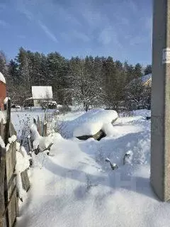 Участок в Брянская область, Брянск просп. Ленина (5.0 сот.) - Фото 2