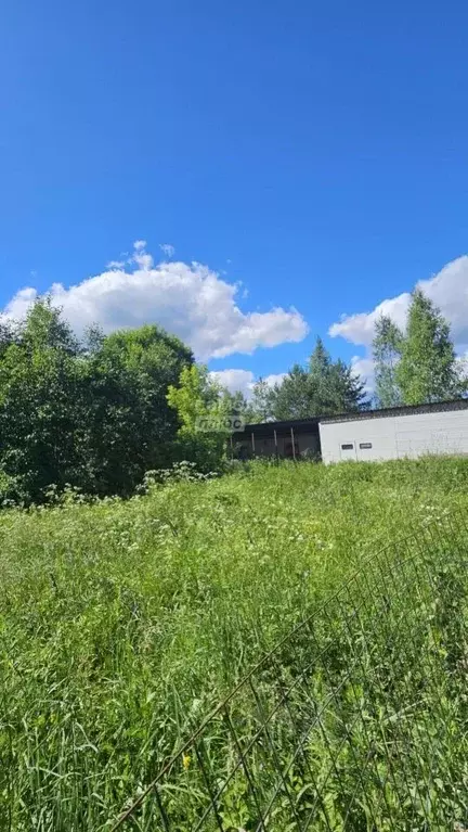 Участок в Московская область, Щелково городской округ, д. Новопареево ... - Фото 1