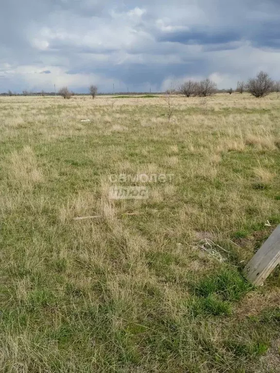 Участок в Саратовская область, Энгельсский район, Красноярское ... - Фото 0