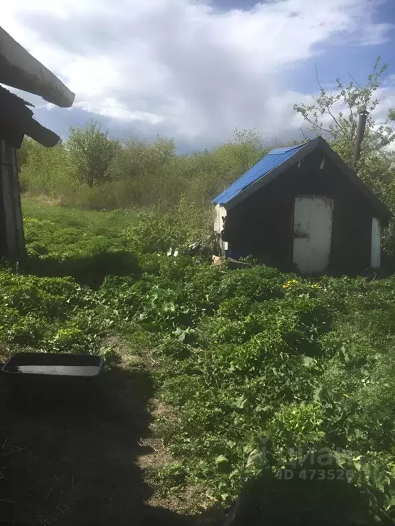 Дом в Нижегородская область, Вадский муниципальный округ, д. Порецкое  ... - Фото 0