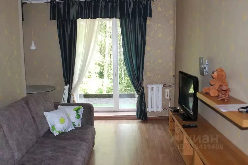 2-к кв. Ленинградская область, Ломоносовский район, Большая Ижора пгт ... - Фото 2