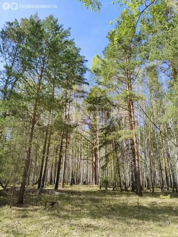 Участок в Тюменский район, СНТ Геофизик (148.36 м) - Фото 0