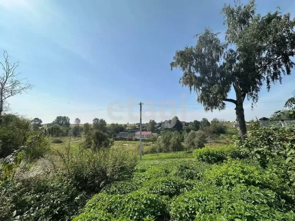 Дом в Брянская область, Брянский район, Мичуринское с/пос, с. ... - Фото 1