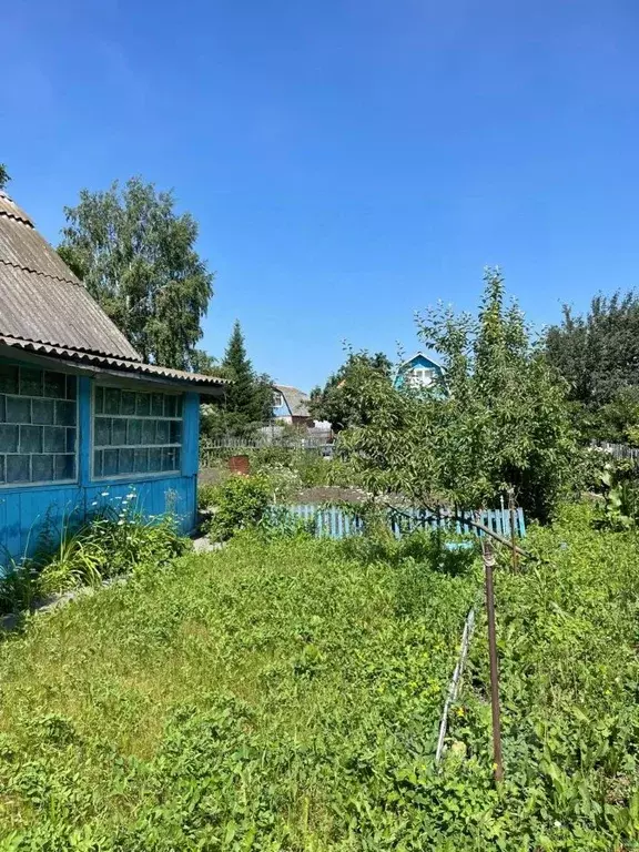 Дом в Омская область, Омск СОСН Степное имени Е.Ш. Левина тер., 2565 ... - Фото 1