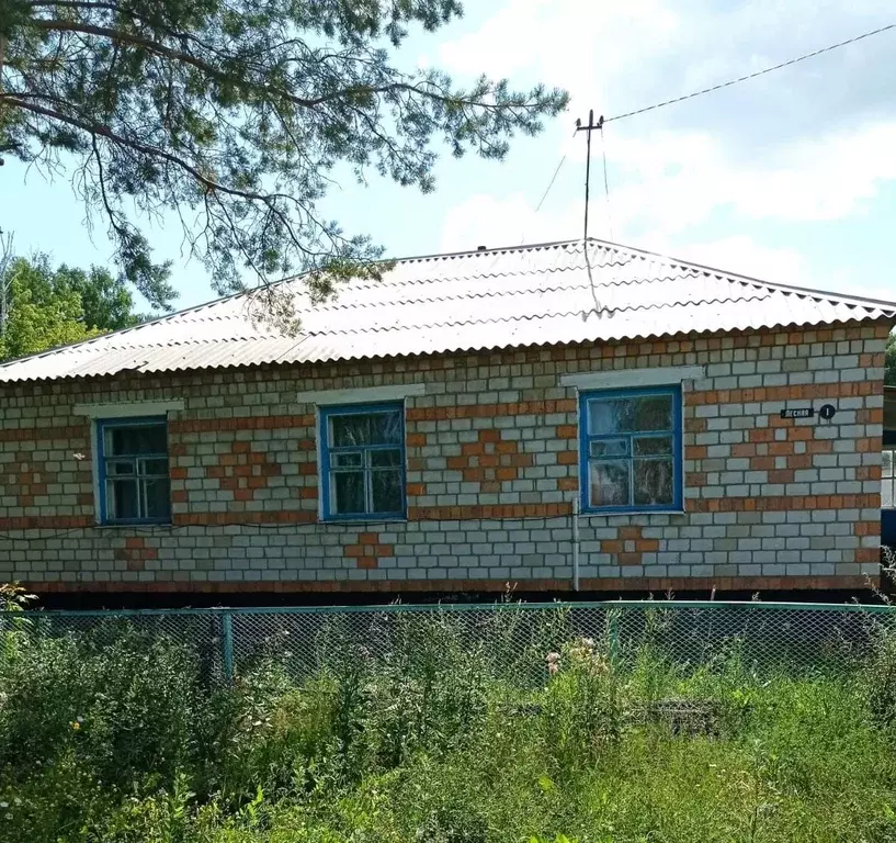 Дом в Алтайский край, Благовещенский район, с. Алексеевка Лесная ул. ... - Фото 0