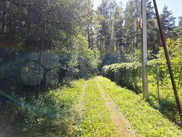 Участок 9 сот. (СНТ, ДНП) - Фото 0