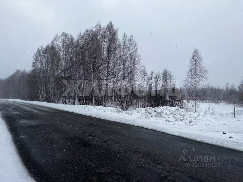 Участок в Новосибирская область, Мошково рп ул. Народная (3500.0 сот.) - Фото 0
