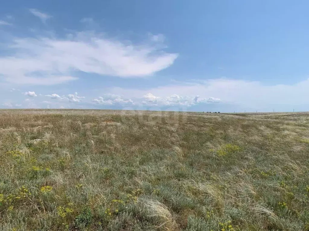 Участок в Крым, Ленинский район, с. Калиновка ул. Шевченко (6.12 сот.) - Фото 1