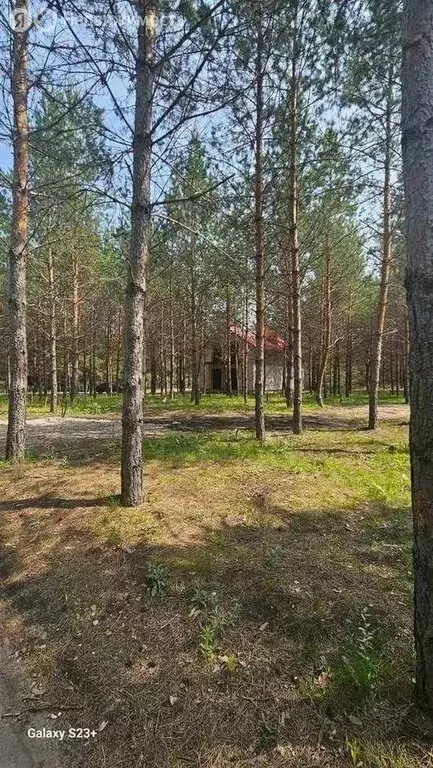 Участок в Сосновка, Новополевая улица (7 м) - Фото 1