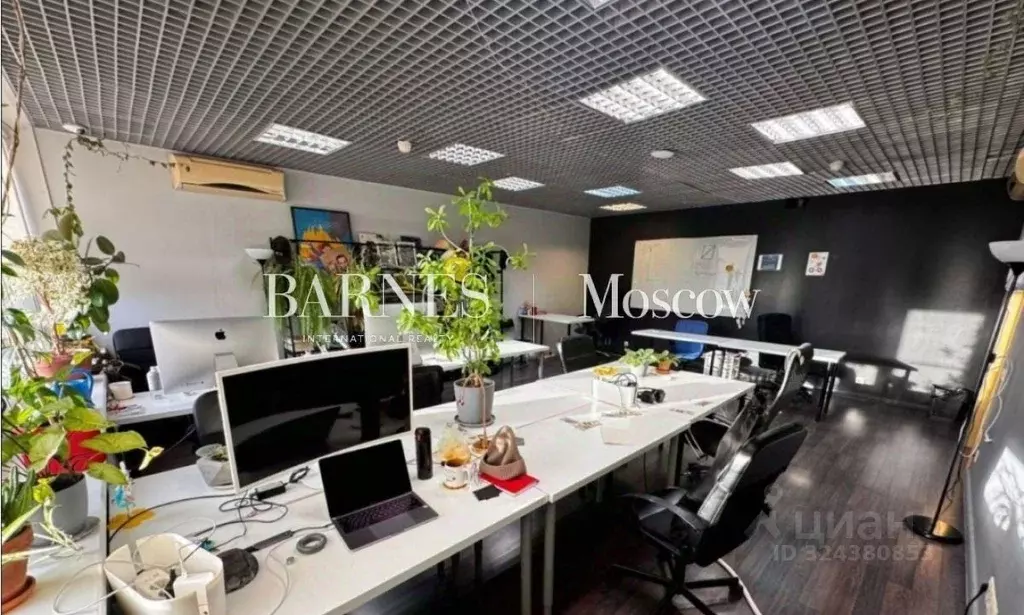 Офис в Москва 1-я Брестская ул., 35 (236 м) - Фото 1