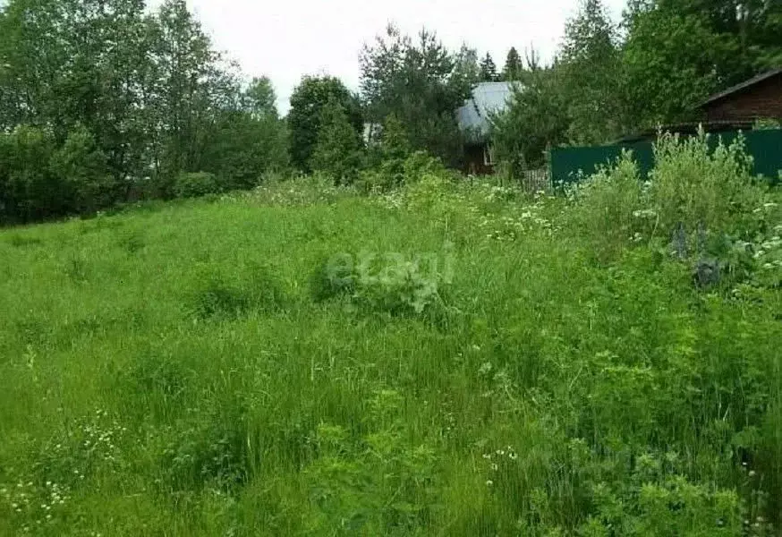 Участок в Нижегородская область, Нижний Новгород Родник садоводческое ... - Фото 0