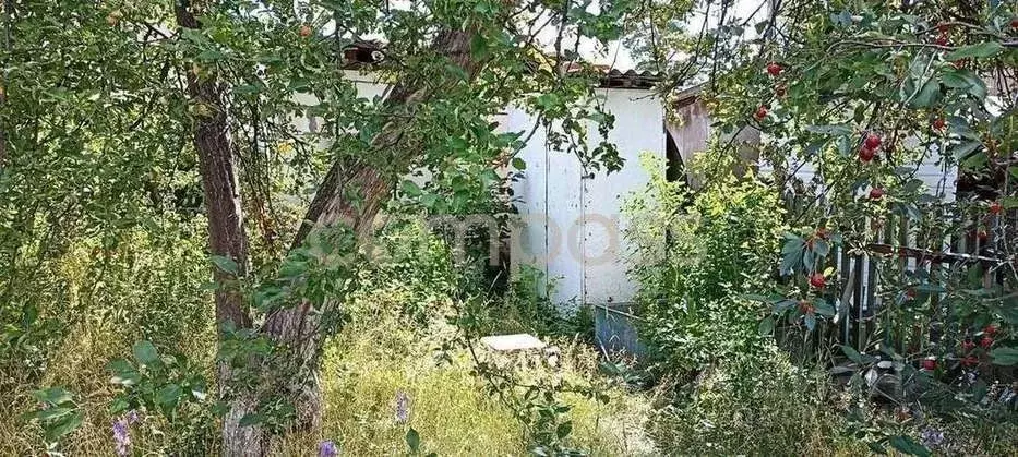 Дом в Тюменская область, Тюменский район, Приозерное СПК ул. Западная ... - Фото 1