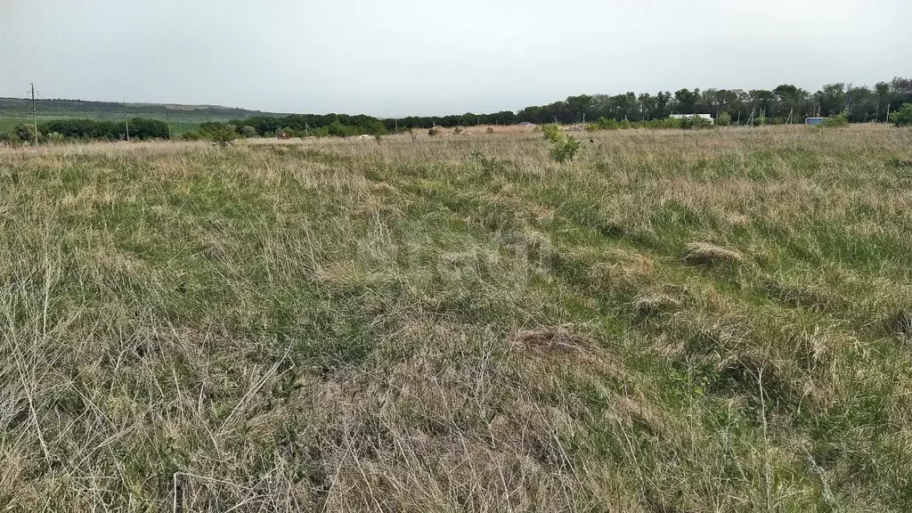 Участок в Ставропольский край, Шпаковский муниципальный округ, с. ... - Фото 2