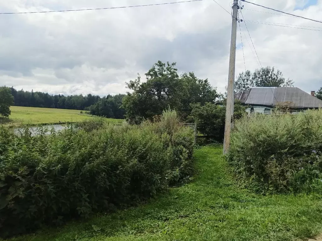 Участок в Калужская область, Жуковский район, Истье с/пос, д. Большое ... - Фото 1