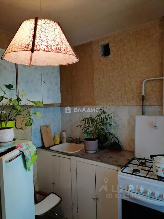 1-к кв. Владимирская область, Ковров Социалистическая ул., 21 (35.3 м) - Фото 2