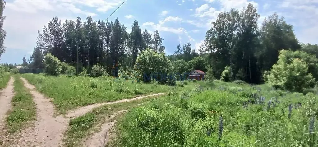 Участок в Нижегородская область, Дальнеконстантиновский муниципальный ... - Фото 1