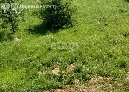 Участок в Томский район, село Яр (10 м) - Фото 2