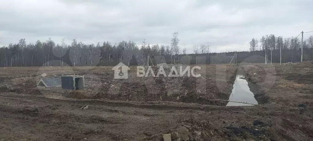 Участок 5,5 сот. (СНТ, ДНП) - Фото 1