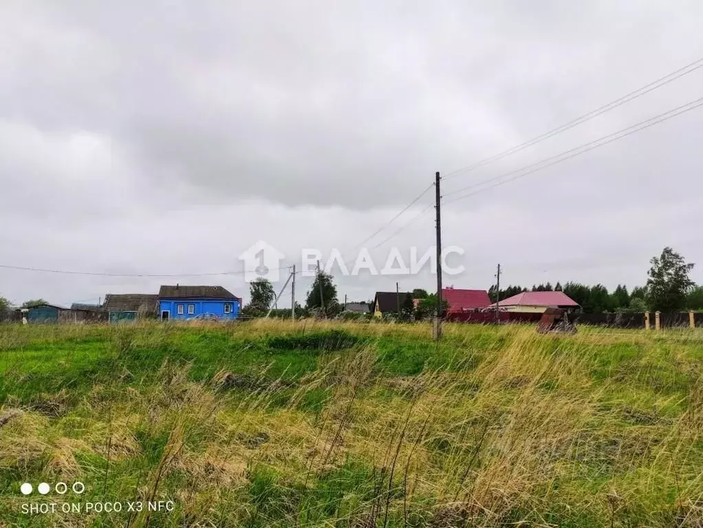 Участок в Владимирская область, Камешковский район, Второвское ... - Фото 1