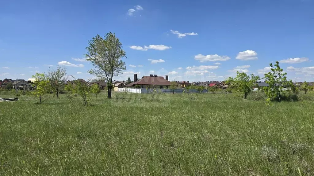 Участок в Оренбургская область, Новосергиевский район, Краснополянский ... - Фото 1