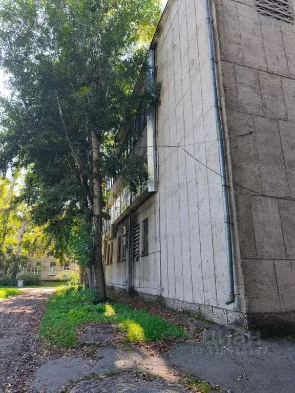 Помещение свободного назначения в Красноярский край, Шушенское пгт ул. ... - Фото 2