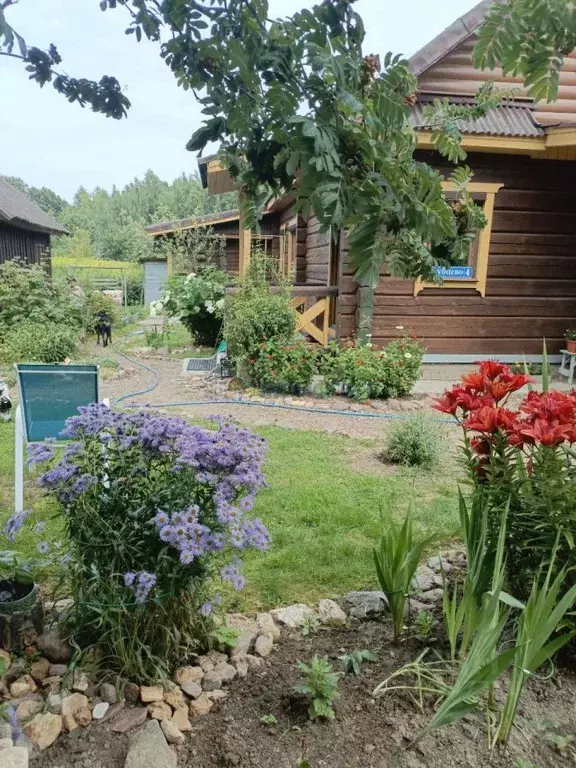 Дом в Нижегородская область, Чкаловск городской округ, д. Губцево 4 ... - Фото 1