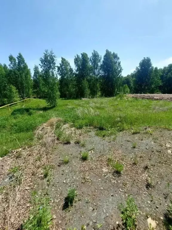 Участок в Челябинская область, Сосновский муниципальный округ, пос. ... - Фото 1