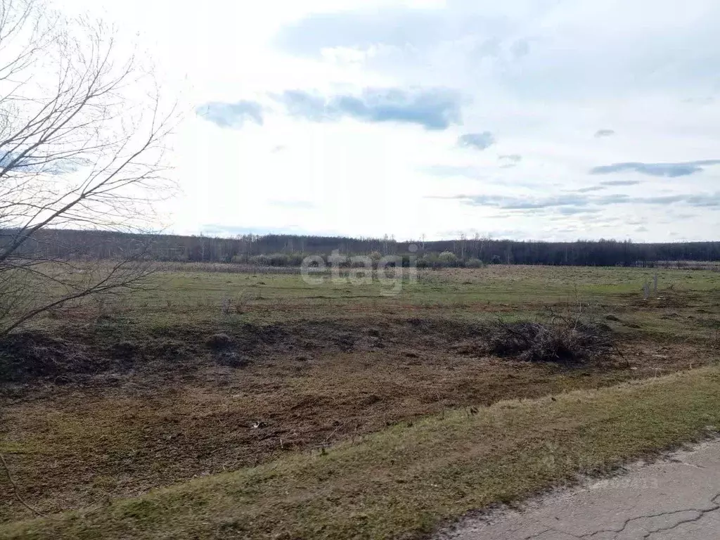 Участок в Нижегородская область, Кстовский муниципальный округ, с. ... - Фото 1