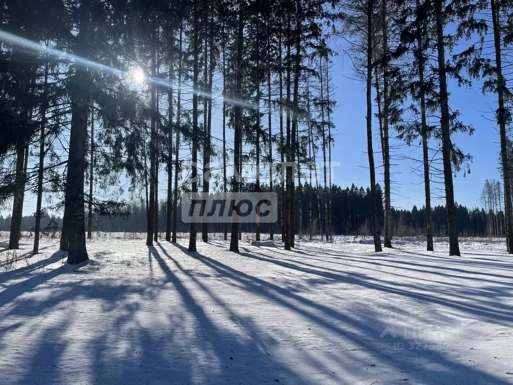 Участок в Московская область, Химки Сходня Форест Парк кп, 163 (6.0 ... - Фото 1