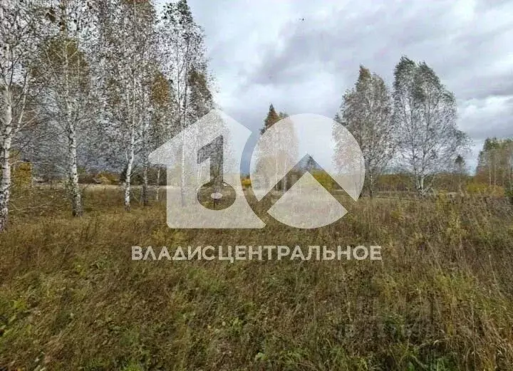 Участок в Новосибирская область, Мошковский район, пос. Кошево Садовая ... - Фото 1