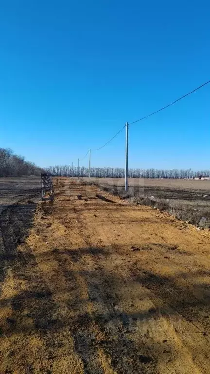 Участок в Ростовская область, Мясниковский район, Краснокрымское ... - Фото 1