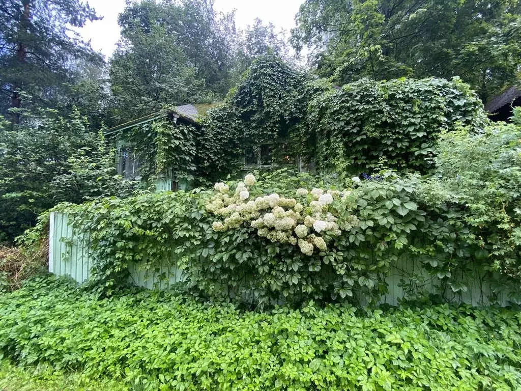 Дом в Ленинградская область, Всеволожский район, Колтушское городское ... - Фото 1