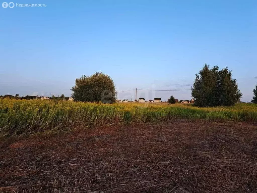 Участок в Калининградская область, Гурьевский муниципальный округ, ... - Фото 1