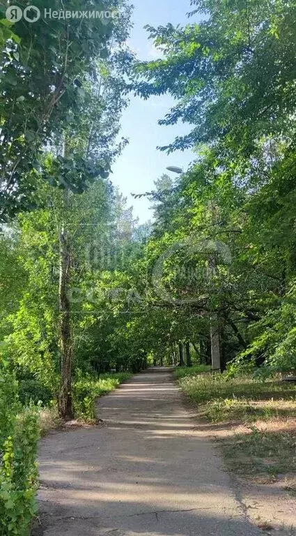 2-комнатная квартира: Воронеж, улица 60-й Армии, 37 (49 м) - Фото 0