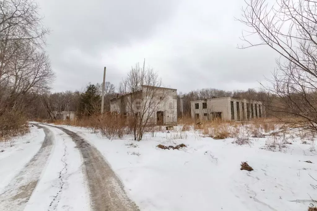 Помещение свободного назначения в Хабаровский край, Хабаровский район, ... - Фото 0