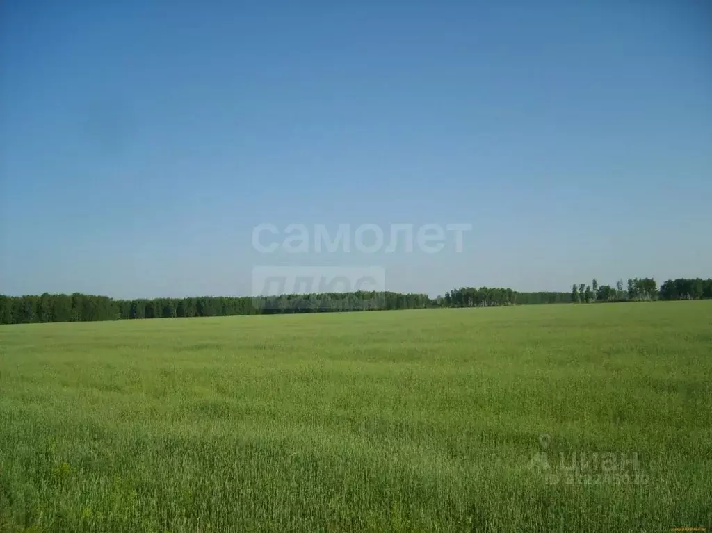 Участок в Оренбургская область, Оренбургский район, Нежинский ... - Фото 2