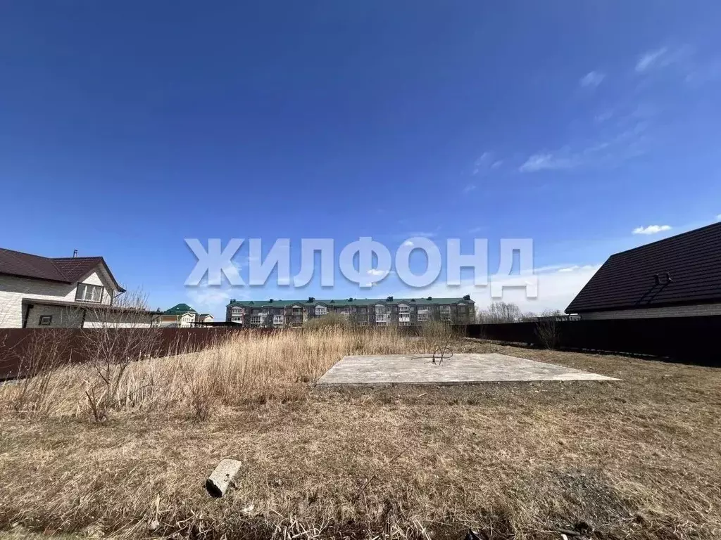 Участок в Хабаровский край, Хабаровский район, с. Мирное ул. ... - Фото 2