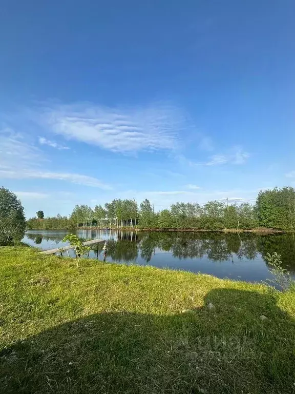 Участок в Ленинградская область, Подпорожский район, Вознесенское ... - Фото 1