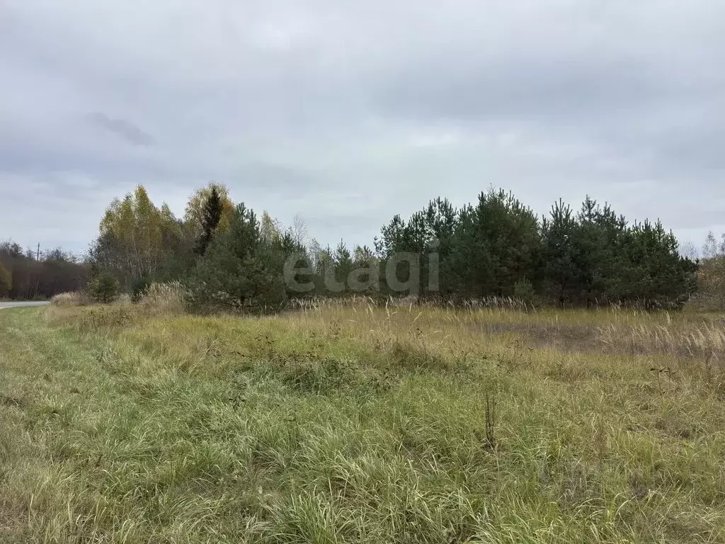Участок в Псковская область, Себеж городское поселение, д. Затурье  ... - Фото 1