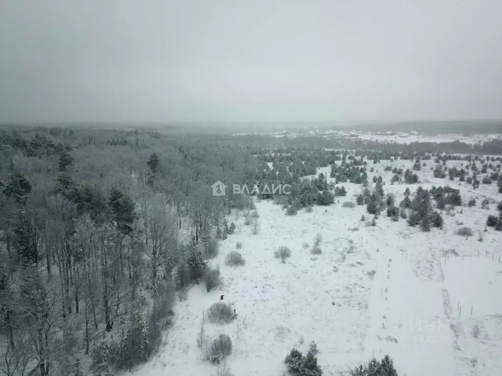 Участок в Владимирская область, Владимир д. Уварово, ул. Дубровка ... - Фото 1