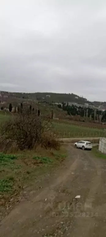 Участок в Крым, Алушта ул. Рябиновая (4.8 сот.) - Фото 1