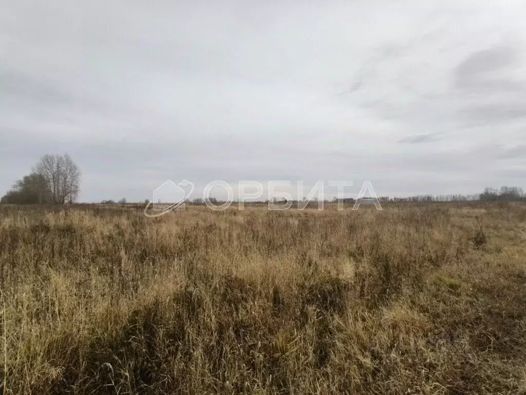Участок в Тюменская область, Тюменский муниципальный округ, ... - Фото 1
