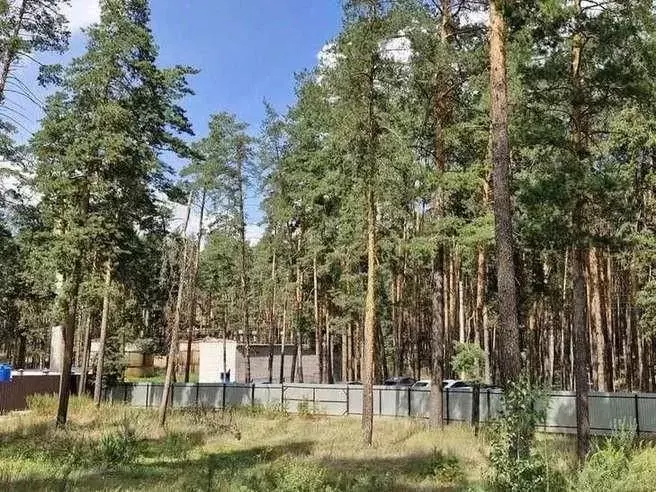 Участок в Самарская область, Красноярский район, Волжский рп ул. ... - Фото 2