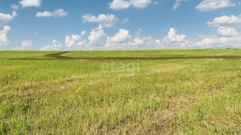 Участок в Тульская область, Новомосковск Сокольники мкр,  (13.1 сот.) - Фото 2