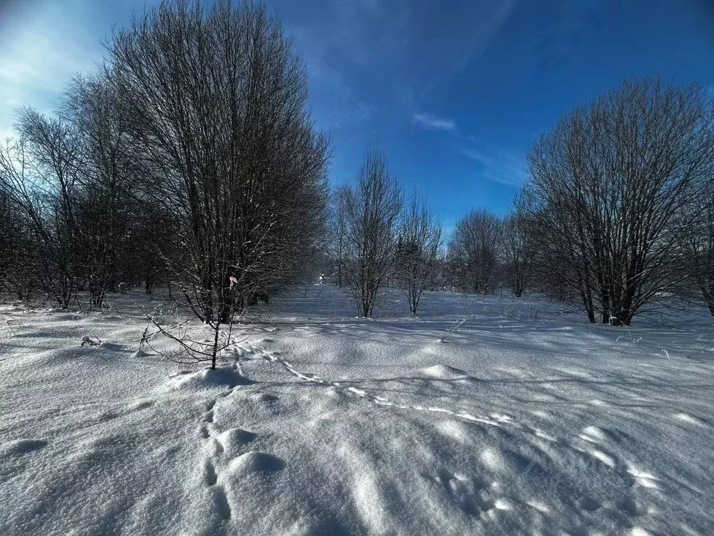 Участок в Московская область, Ступино городской округ, с. Каменка ул. ... - Фото 1
