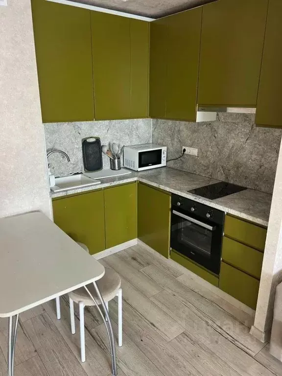 Студия Московская область, Солнечногорск городской округ, Голубое пгт ... - Фото 2