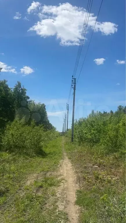 Участок 20 га (ИЖС) - Фото 1